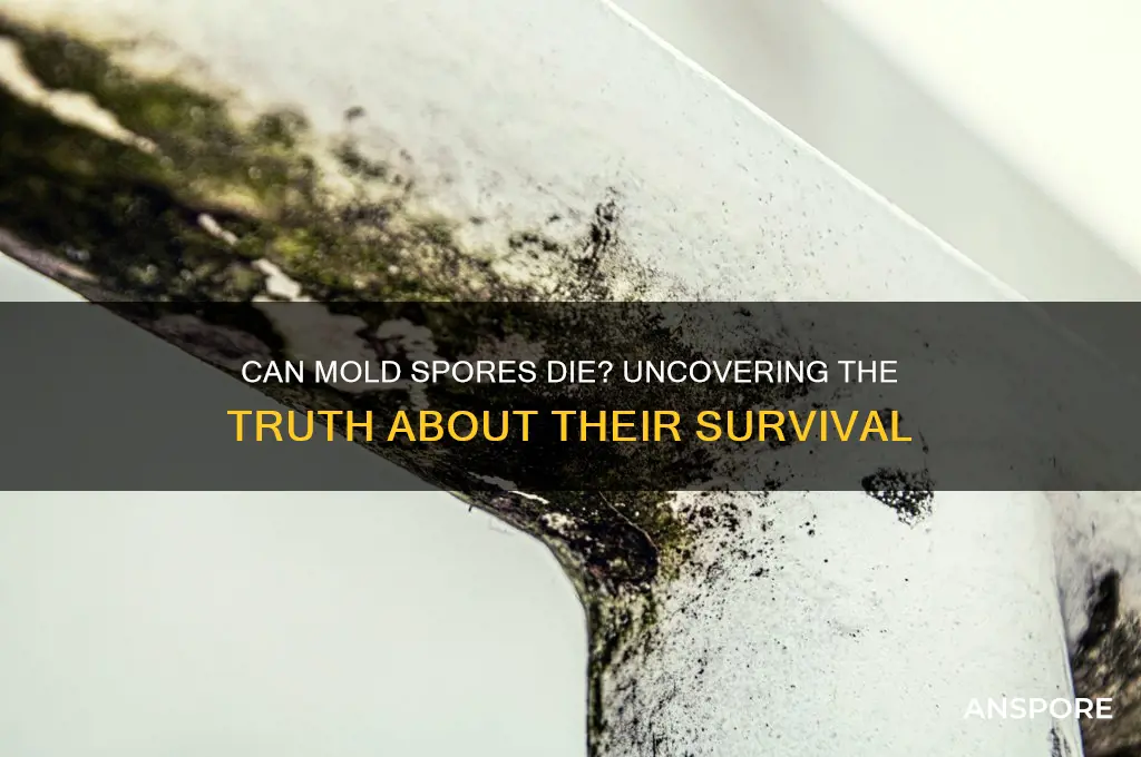 can mold spores die
