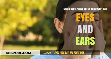 Can Mold Spores Enter Through Your Eyes and Ears?