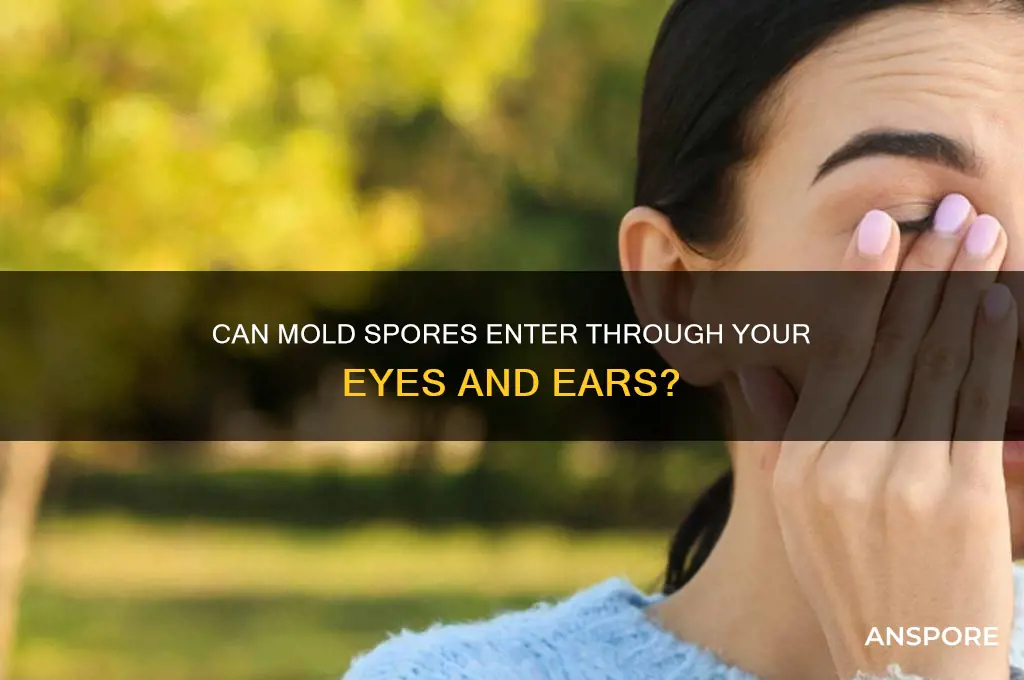 can mold spores enter through your eyes and ears