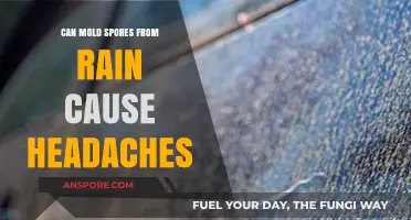 Rain-Borne Mold Spores: Uncovering Their Link to Headaches and Health
