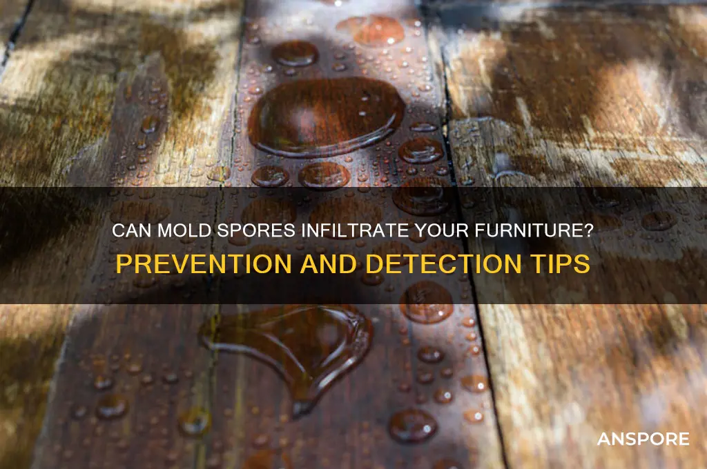 can mold spores get in furniture
