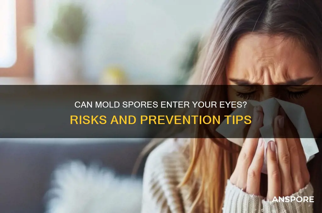 can mold spores get in your eyes