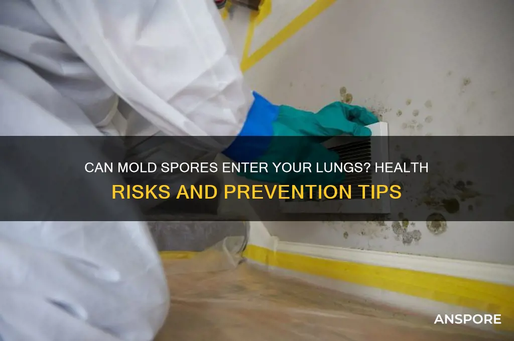 can mold spores get in your lungs