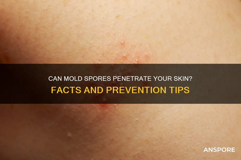 can mold spores get in your skin