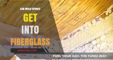 Can Mold Spores Penetrate Fiberglass? Understanding Risks and Prevention