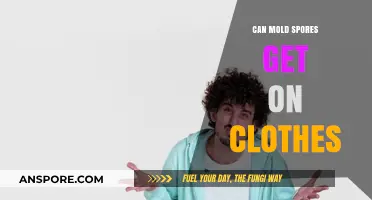 Can Mold Spores Get on Clothes? Understanding Risks and Prevention