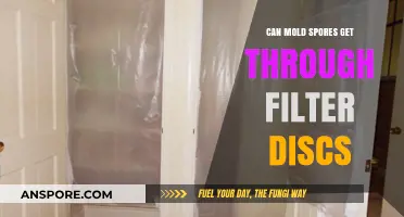 Can Mold Spores Penetrate Filter Discs? Exploring Filtration Effectiveness