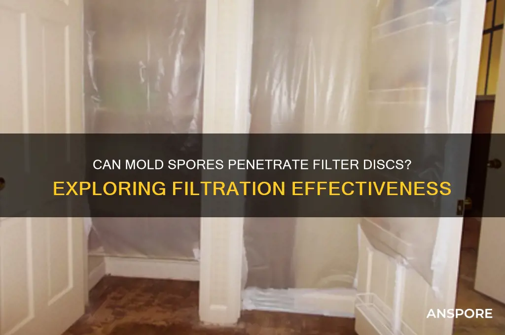 can mold spores get through filter discs
