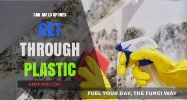 Can Mold Spores Penetrate Plastic? Uncovering the Truth and Prevention Tips