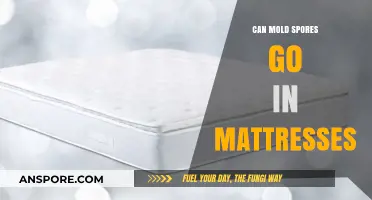 Can Mold Spores Infiltrate Your Mattress? Prevention and Detection Tips