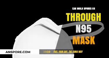 Can Mold Spores Penetrate N95 Masks? Uncovering the Truth