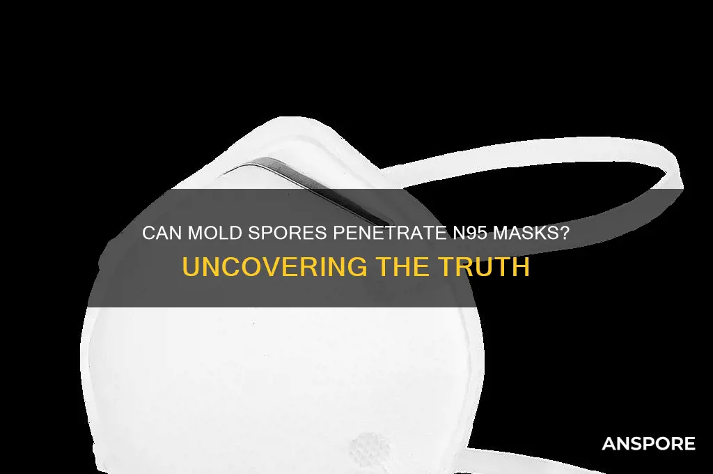 can mold spores go through n95 mask