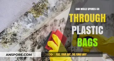 Can Mold Spores Penetrate Plastic Bags? Uncovering the Truth