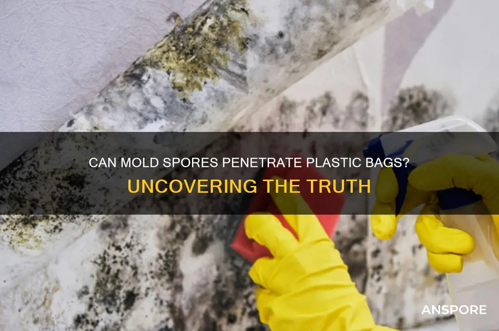 can mold spores go through plastic bags