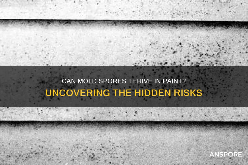 can mold spores grow in paint