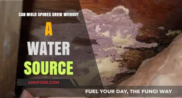 Can Mold Spores Thrive Without Water? Uncovering the Truth