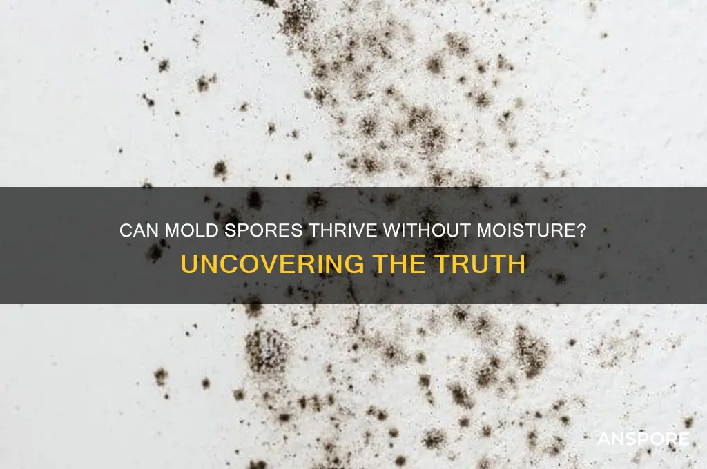 can mold spores grow without moisture