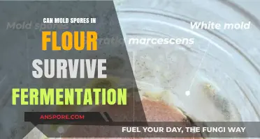 Mold Spores in Flour: Can Fermentation Eliminate Them?