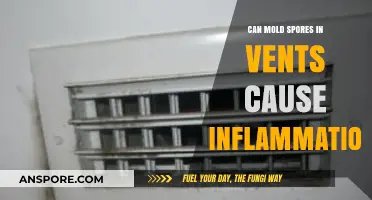 Mold Spores in Vents: Uncovering Their Link to Inflammation Risks