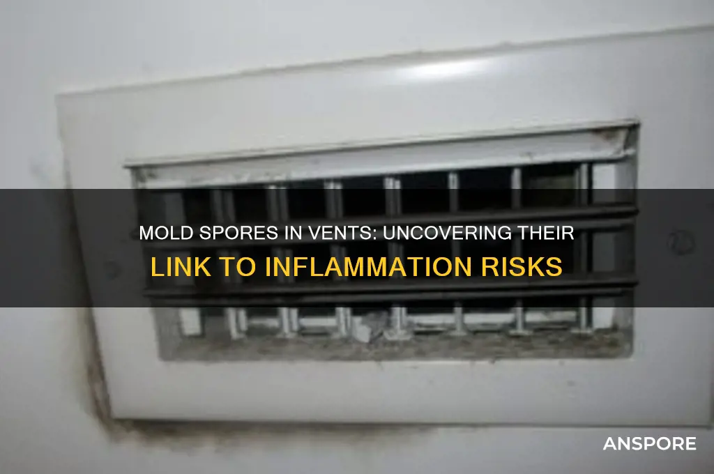can mold spores in vents cause inflammation