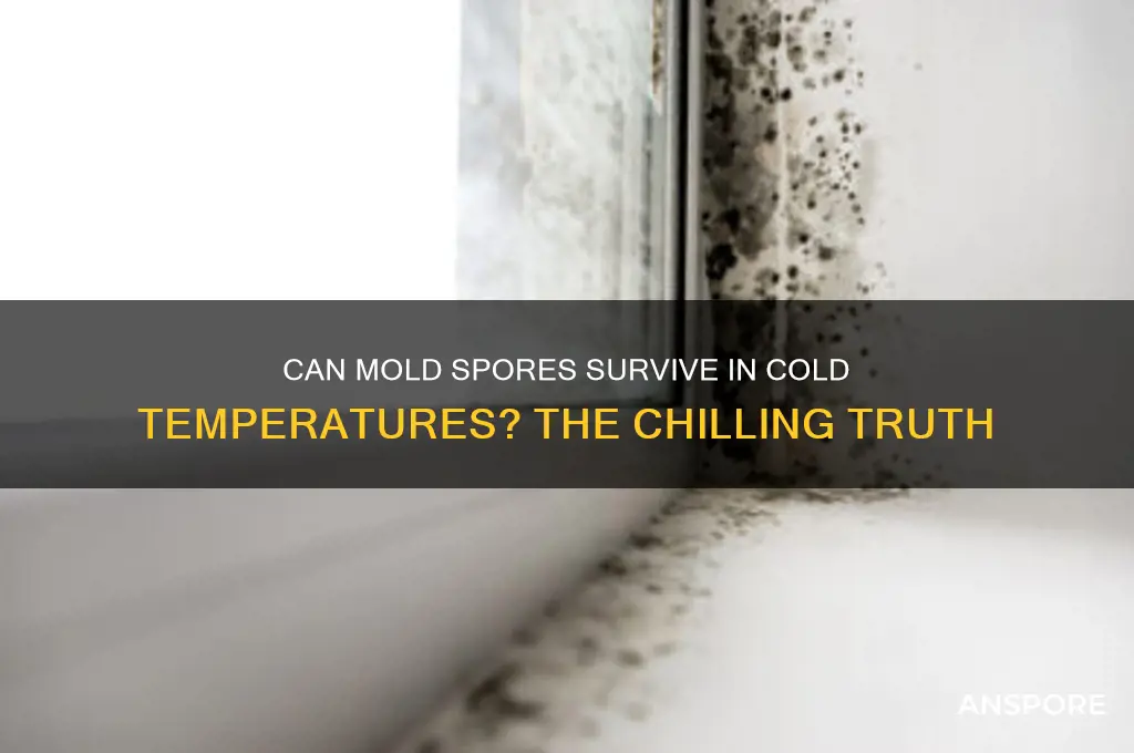 can mold spores live in the cold