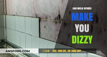 Can Mold Spores Cause Dizziness? Understanding the Hidden Health Risks