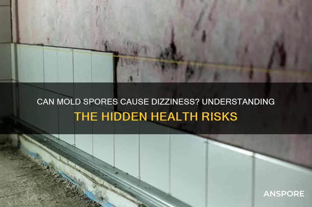 can mold spores make you dizzy