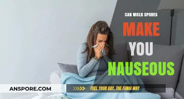 Mold Spores and Nausea: Uncovering the Hidden Health Risks