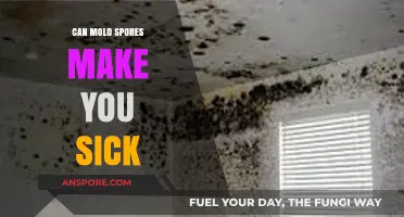 Can Mold Spores Make You Sick? Understanding Health Risks