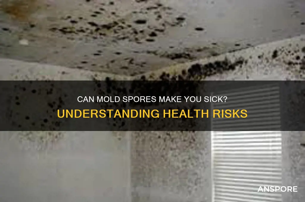 can mold spores make you sick