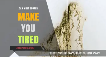 Mold Spores and Fatigue: Uncovering the Hidden Link to Tiredness