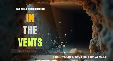 Can Mold Spores Spread Through Vents? Understanding Air Duct Contamination