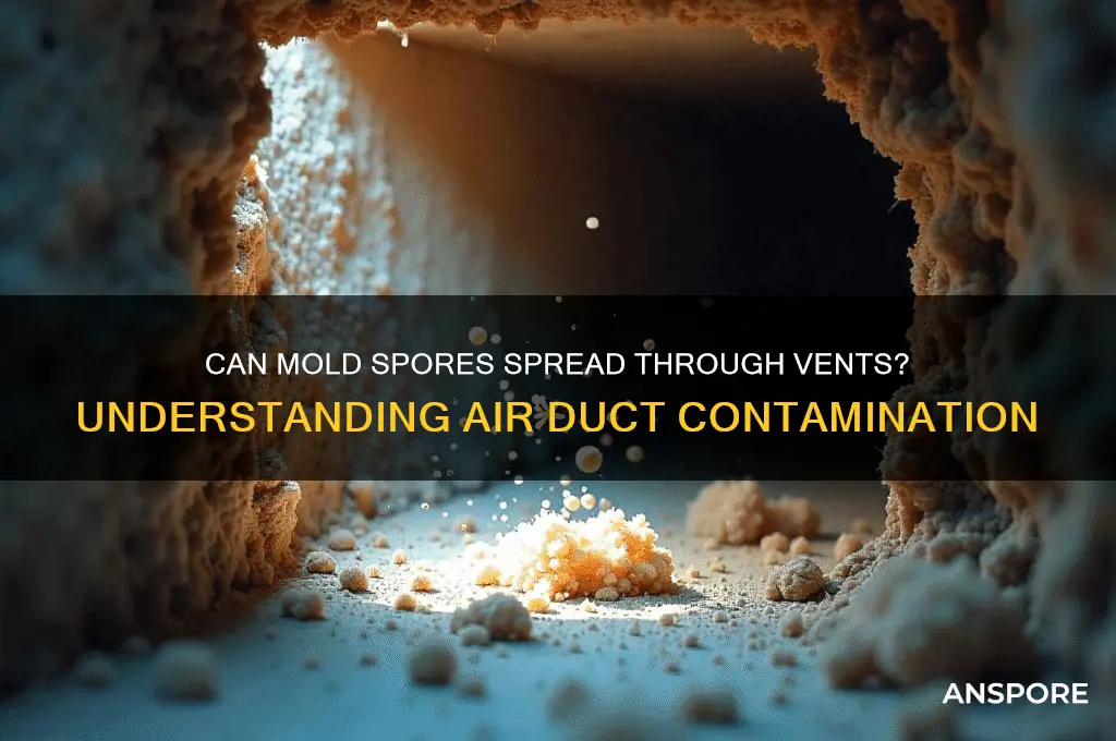 can mold spores spread in the vents