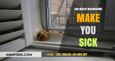 Can Moldy Mushrooms Make You Sick? Risks and Symptoms Explained