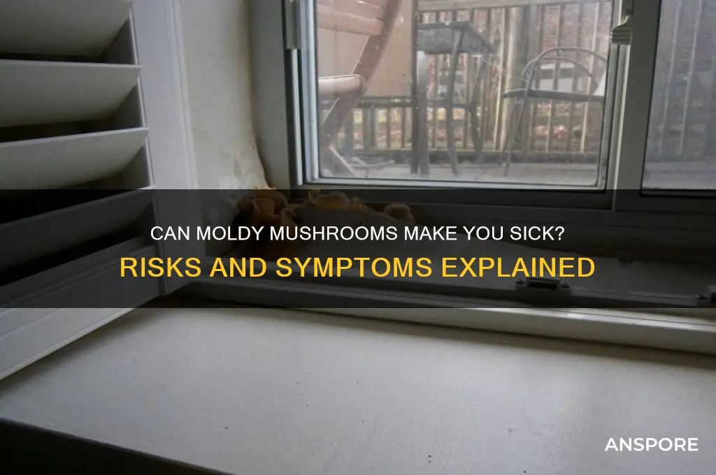 can moldy mushrooms make you sick