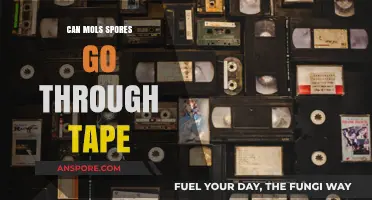 Can Mold Spores Penetrate Tape? Uncovering the Truth and Prevention Tips