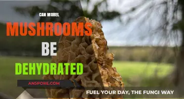 Dehydrating Morel Mushrooms: A Guide to Preserving Their Unique Flavor