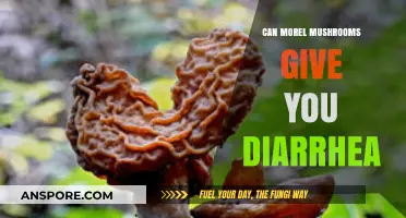 Can Morel Mushrooms Cause Diarrhea? Exploring the Digestive Impact