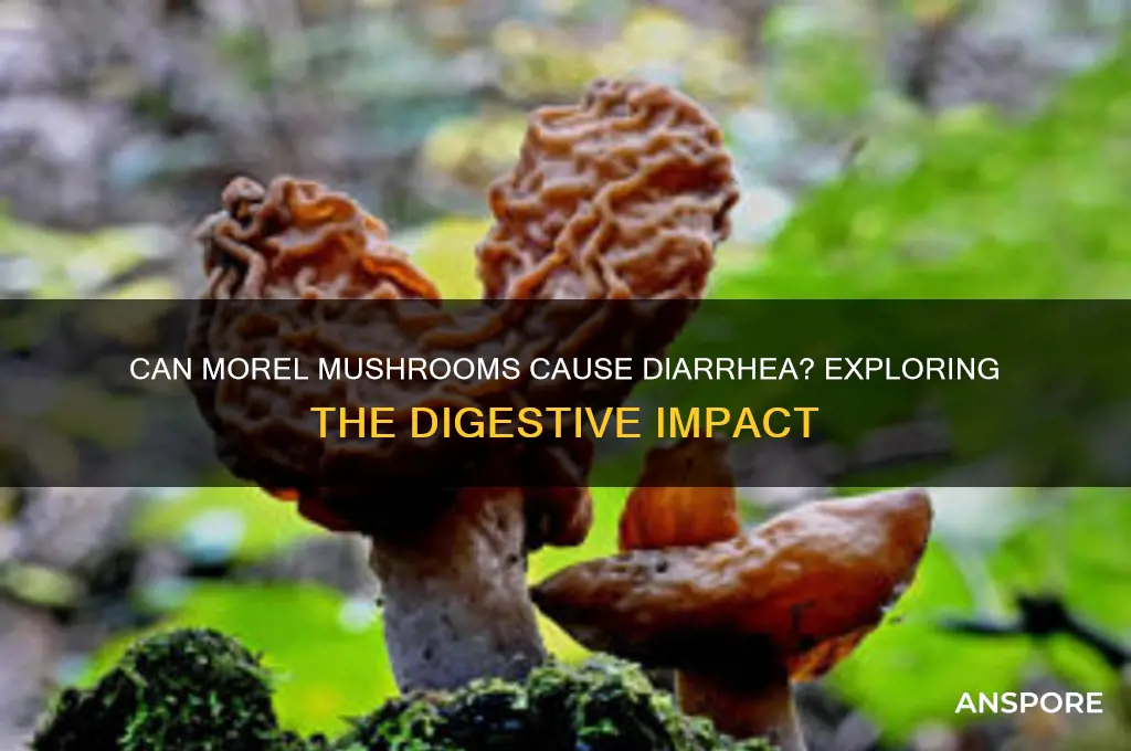 can morel mushrooms give you diarrhea