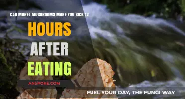 Can Morel Mushrooms Cause Delayed Illness? 12-Hour Symptoms Explained