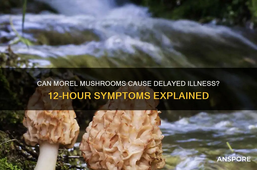 can morel mushrooms make you sick 12 hours after eating
