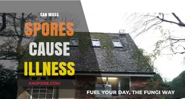 Can Moss Spores Make You Sick? Uncovering Potential Health Risks