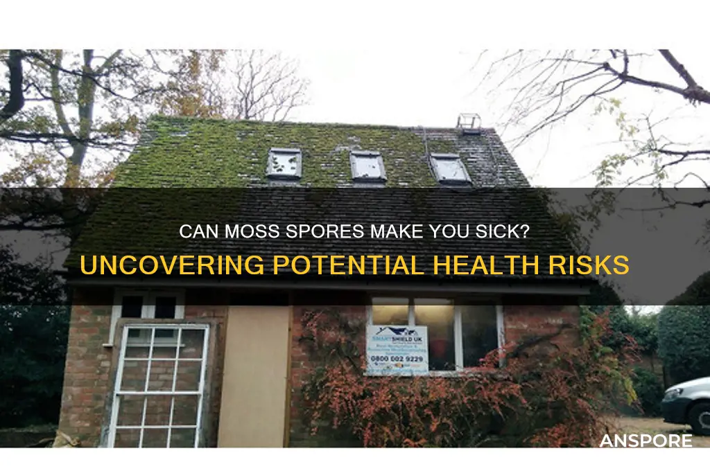 can moss spores cause illness