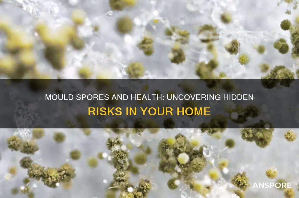 can mould spores affect your health