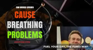 Mould Spores and Breathing: Uncovering the Hidden Health Risks