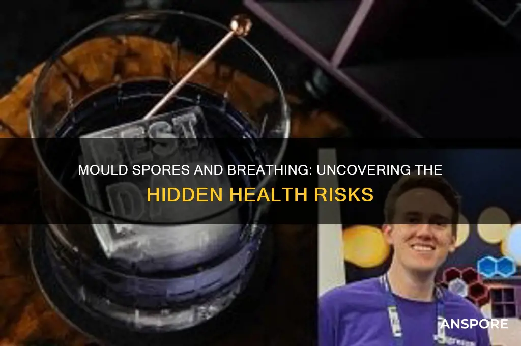 can mould spores cause breathing problems