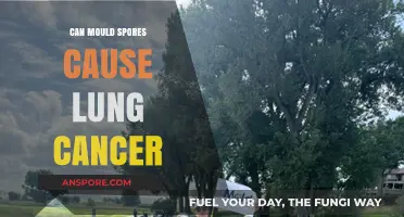 Mould Spores and Lung Cancer: Uncovering the Hidden Health Risks