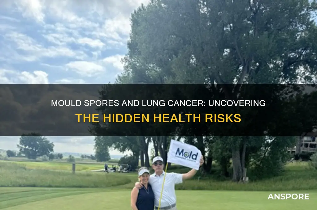 can mould spores cause lung cancer