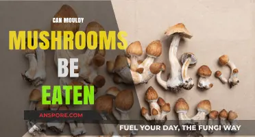 Can Mouldy Mushrooms Be Eaten? Risks and Safety Tips