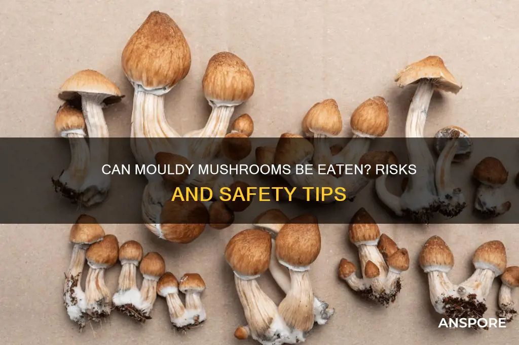can mouldy mushrooms be eaten